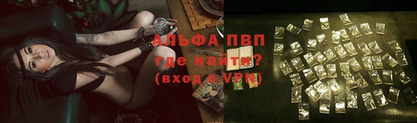 твердый Абаза