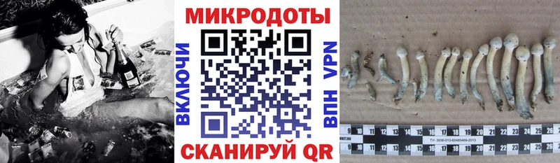 где продают наркотики Стерлитамак Псилоцибиновые грибы прущие грибы