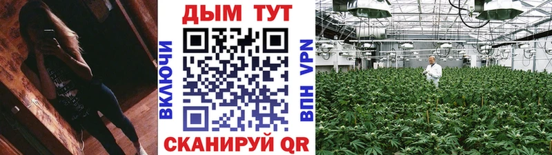 Конопля марихуана  Стерлитамак 